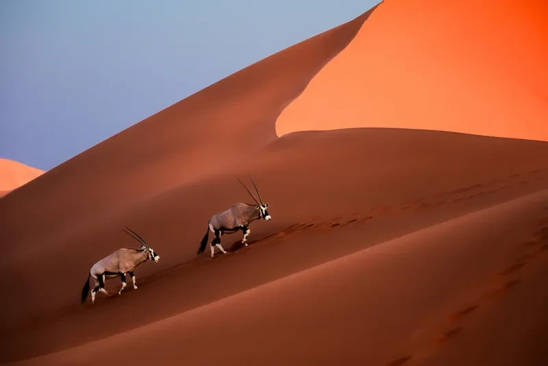 Namibia Self Drive Tour